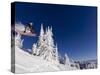 Snowboarding Action at Whitefish Mountain Resort in Whitefish, Montana, USA-Chuck Haney-Stretched Canvas