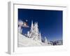 Snowboarding Action at Whitefish Mountain Resort in Whitefish, Montana, USA-Chuck Haney-Framed Premium Photographic Print