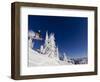 Snowboarding Action at Whitefish Mountain Resort in Whitefish, Montana, USA-Chuck Haney-Framed Photographic Print