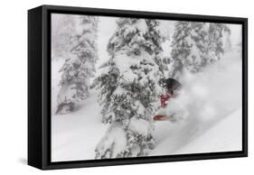 Snowboarding in powder at Whitefish Mountain, Montana, USA-Chuck Haney-Framed Stretched Canvas