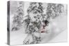 Snowboarding in powder at Whitefish Mountain, Montana, USA-Chuck Haney-Stretched Canvas