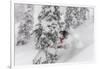 Snowboarding in powder at Whitefish Mountain, Montana, USA-Chuck Haney-Framed Photographic Print