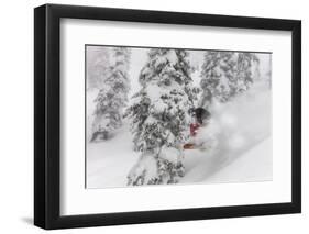 Snowboarding in powder at Whitefish Mountain, Montana, USA-Chuck Haney-Framed Photographic Print