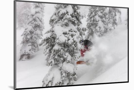 Snowboarding in powder at Whitefish Mountain, Montana, USA-Chuck Haney-Mounted Photographic Print