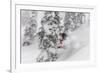 Snowboarding in powder at Whitefish Mountain, Montana, USA-Chuck Haney-Framed Photographic Print