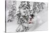 Snowboarding in powder at Whitefish Mountain, Montana, USA-Chuck Haney-Stretched Canvas