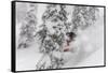 Snowboarding in powder at Whitefish Mountain, Montana, USA-Chuck Haney-Framed Stretched Canvas