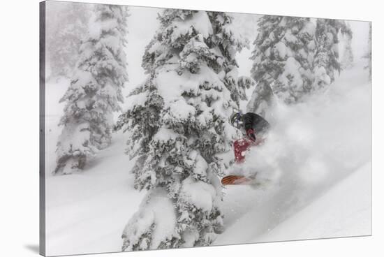 Snowboarding in powder at Whitefish Mountain, Montana, USA-Chuck Haney-Stretched Canvas