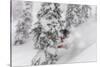 Snowboarding in powder at Whitefish Mountain, Montana, USA-Chuck Haney-Stretched Canvas