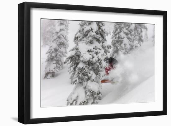 Snowboarding in powder at Whitefish Mountain, Montana, USA-Chuck Haney-Framed Photographic Print