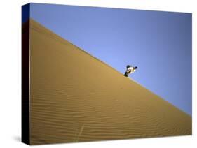 Snowboarding on Sanddunes, Morocco-Michael Brown-Stretched Canvas