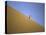 Snowboarding on Sanddunes, Morocco-Michael Brown-Stretched Canvas