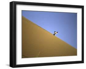 Snowboarding on Sanddunes, Morocco-Michael Brown-Framed Premium Photographic Print