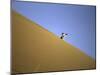 Snowboarding on Sanddunes, Morocco-Michael Brown-Mounted Photographic Print