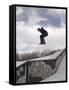 Snowboarding-null-Framed Stretched Canvas