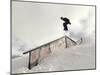 Snowboarding-null-Mounted Premium Photographic Print