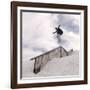 Snowboarding-null-Framed Photographic Print