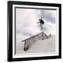 Snowboarding-null-Framed Photographic Print