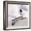 Snowboarding-null-Framed Photographic Print