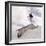 Snowboarding-null-Framed Photographic Print