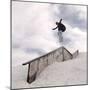 Snowboarding-null-Mounted Photographic Print