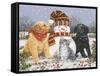 Snowboy with Little Friends-William Vanderdasson-Framed Stretched Canvas