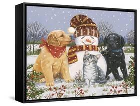 Snowboy with Little Friends-William Vanderdasson-Framed Stretched Canvas