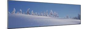 Snowcapped Mountain, Chugach National Forest, Alaska, USA-Panoramic Images-Mounted Photographic Print