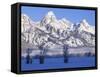 Snowcapped Mountains and Bare Tree, Grand Teton National Park, Wyoming, USA-Scott T^ Smith-Framed Stretched Canvas