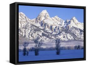 Snowcapped Mountains and Bare Tree, Grand Teton National Park, Wyoming, USA-Scott T^ Smith-Framed Stretched Canvas