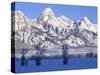 Snowcapped Mountains and Bare Tree, Grand Teton National Park, Wyoming, USA-Scott T^ Smith-Stretched Canvas