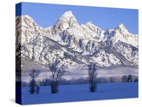 Snowcapped Mountains and Bare Tree, Grand Teton National Park, Wyoming, USA-Scott T^ Smith-Stretched Canvas