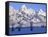 Snowcapped Mountains and Bare Tree, Grand Teton National Park, Wyoming, USA-Scott T^ Smith-Framed Stretched Canvas