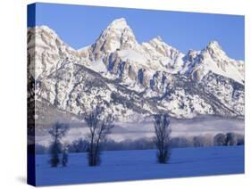 Snowcapped Mountains and Bare Tree, Grand Teton National Park, Wyoming, USA-Scott T^ Smith-Stretched Canvas