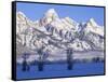 Snowcapped Mountains and Bare Tree, Grand Teton National Park, Wyoming, USA-Scott T^ Smith-Framed Stretched Canvas