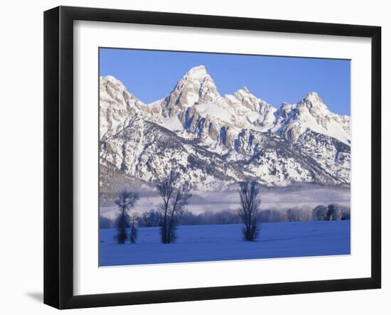 Snowcapped Mountains and Bare Tree, Grand Teton National Park, Wyoming, USA-Scott T^ Smith-Framed Photographic Print