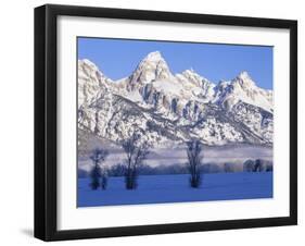 Snowcapped Mountains and Bare Tree, Grand Teton National Park, Wyoming, USA-Scott T^ Smith-Framed Photographic Print