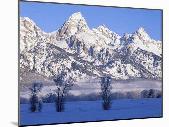 Snowcapped Mountains and Bare Tree, Grand Teton National Park, Wyoming, USA-Scott T^ Smith-Mounted Photographic Print