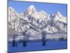 Snowcapped Mountains and Bare Tree, Grand Teton National Park, Wyoming, USA-Scott T^ Smith-Mounted Photographic Print