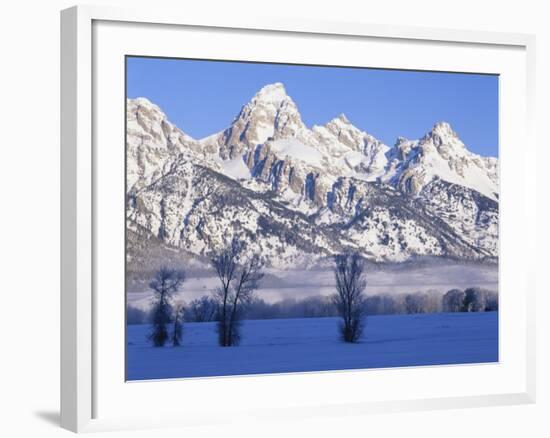 Snowcapped Mountains and Bare Tree, Grand Teton National Park, Wyoming, USA-Scott T^ Smith-Framed Photographic Print