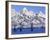 Snowcapped Mountains and Bare Tree, Grand Teton National Park, Wyoming, USA-Scott T^ Smith-Framed Photographic Print