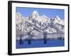 Snowcapped Mountains and Bare Tree, Grand Teton National Park, Wyoming, USA-Scott T^ Smith-Framed Photographic Print