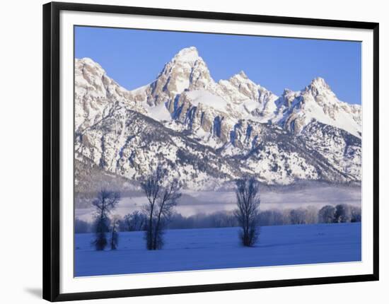 Snowcapped Mountains and Bare Tree, Grand Teton National Park, Wyoming, USA-Scott T^ Smith-Framed Photographic Print