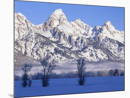 Snowcapped Mountains and Bare Tree, Grand Teton National Park, Wyoming, USA-Scott T^ Smith-Mounted Photographic Print