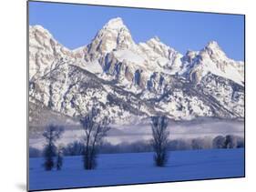 Snowcapped Mountains and Bare Tree, Grand Teton National Park, Wyoming, USA-Scott T^ Smith-Mounted Photographic Print