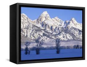 Snowcapped Mountains and Bare Tree, Grand Teton National Park, Wyoming, USA-Scott T^ Smith-Framed Stretched Canvas