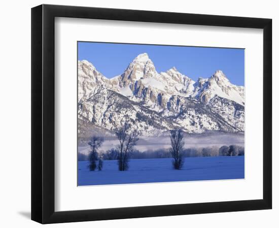 Snowcapped Mountains and Bare Tree, Grand Teton National Park, Wyoming, USA-Scott T^ Smith-Framed Photographic Print