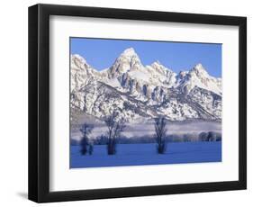 Snowcapped Mountains and Bare Tree, Grand Teton National Park, Wyoming, USA-Scott T^ Smith-Framed Photographic Print