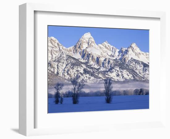 Snowcapped Mountains and Bare Tree, Grand Teton National Park, Wyoming, USA-Scott T^ Smith-Framed Photographic Print