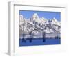 Snowcapped Mountains and Bare Tree, Grand Teton National Park, Wyoming, USA-Scott T^ Smith-Framed Photographic Print